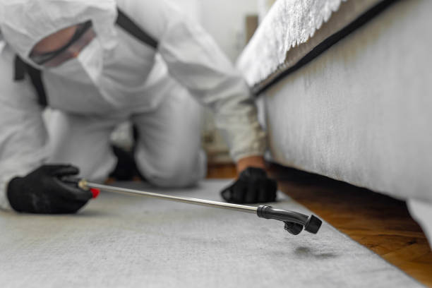 Professional Cockroach Control technician working in Fort Walton Beach, FL